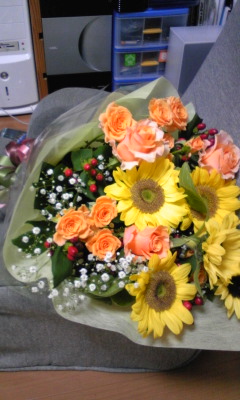 Image437.jpg